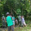 Babinsa Koramil 01/Gunungsitoli Gelar Gotong Royong Bersama Warga Desa Onozitoli Olora Kec. Gunungsitoli Utara