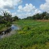 BARA- JP, Minta Pemda Rohil Normalisasikan Sungai