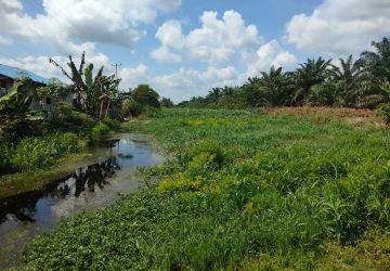 BARA- JP, Minta Pemda Rohil Normalisasikan Sungai