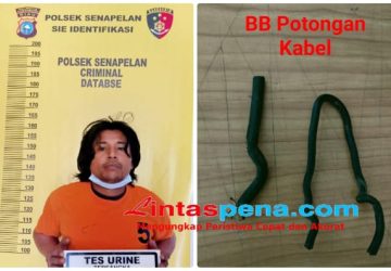 Tim Opsnal Polsek Senapelan Berhasil Amankan Pelaku Curat