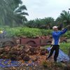Petani KKPA Laporkan Koperasi Meskom Sejati Ke Polda Riau