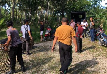 Polres Resort Nias Selatan, Berhasil Amankan 6 Orang Pelaku Judi Sabung Ayam