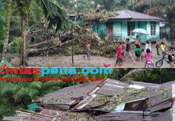 Satu Unit Rumah di Desa Sungai Rambai Kampar Kiri Tertimpa Pohon Akibat Puting Beliung