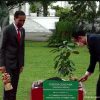 Jokowi Ajak PM Jepang Tanam Pohon Cendana di Istana Bogor