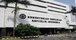 Kementerian Pertanian Pastikan Pasokan dan Harga 12 Bahan pokok di Jambi Aman Terkendali