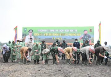 Gubernur Riau Resmi Launching Program Ketahanan Pangan 1.006,5 Hektare Lahan Ditanam, Libatkan 1.128 Poktan