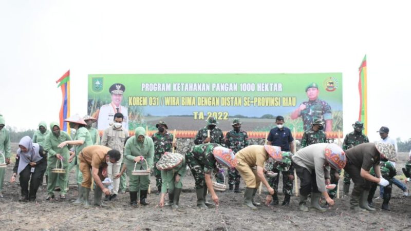 Gubernur Riau Resmi Launching Program Ketahanan Pangan 1.006,5 Hektare Lahan Ditanam, Libatkan 1.128 Poktan