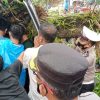 Mobil Tertimpa Pohon di Pasaman Barat, Satu Orang Tewas