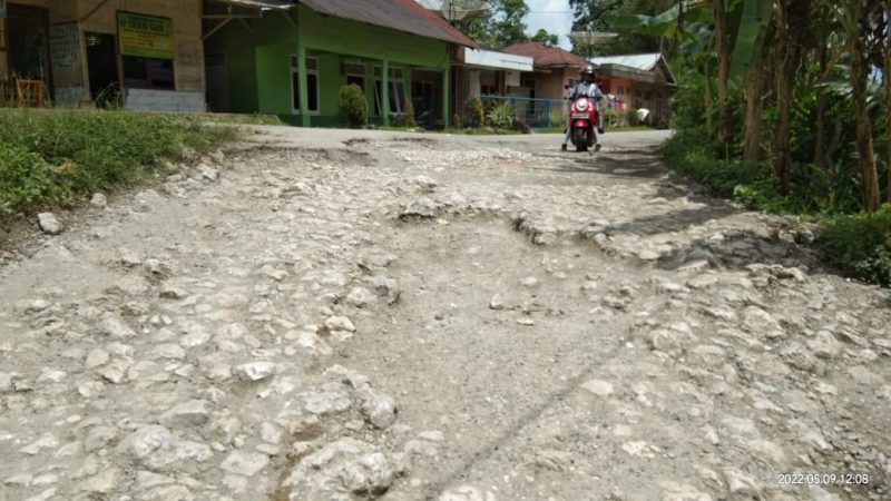 Jalan Provinsi Km 16,2 Desa Lölöwua Rusak Parah, Masyarakat Nias Berharap Perhatian Dari Pemerintah