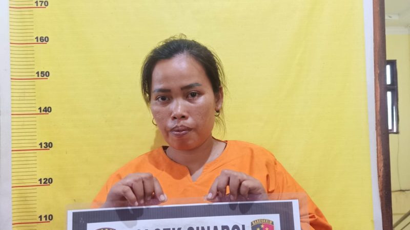 Tuduh Pelakor dan Pukuli Korbannya Hingga Berdarah, IRT di Amankan Polsek Sinaboi