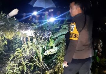 Bhabinkamtibmas Polsek Bawalato Bantu Evakuasi Pohon Tumbang di Dusun II Desa Hiliwarökha Kec. Bawolato