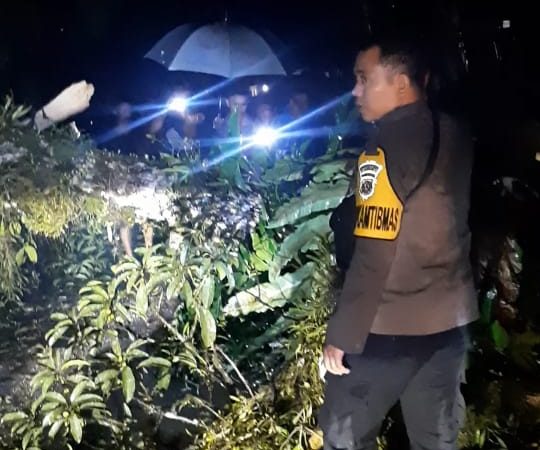 Bhabinkamtibmas Polsek Bawalato Bantu Evakuasi Pohon Tumbang di Dusun II Desa Hiliwarökha Kec. Bawolato