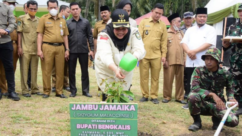 Bupati Bengkalis Kasmarni Sambut Kedatangan Pangdam I/BB Sekaligus Dampingi Tinjauan Lokasi Pelaksanaan TMMD