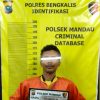 Seorang Ayah Tiri di Bathin Solapan Tiduri Anaknya Berulang kali