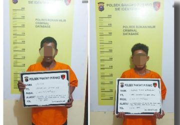 Sedang Melangsir Buah Sawit Curian, 2 Pengangguran Ditangkap Polsek Bangko Pusako