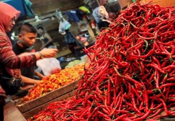 Harga Cabai Mahal, Pedagang: Roadmap Pangan Indonesia Tak Jelas