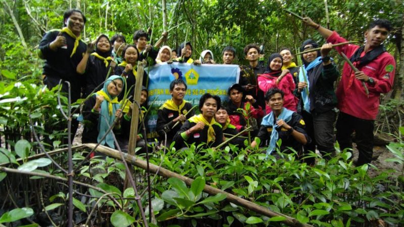 Mapala Polbeng Lakukan Pembibitan Mangrove