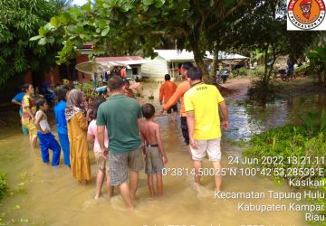 Terdata 82 Rumah Terendam Banjir di Desa Kasikan Tapung Hulu