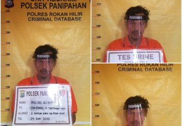 Polsek Panipahan Berhasil Menangkap Pelaku Pencurian Berinisial Ml Kini Berurusan Dengan Pihak Kepolisian