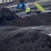 Izin Lingkungan Dicabut, Pemprov DKI Harus Pastikan PT KCN Stop Aktivitas Bongkar Muat Batubara