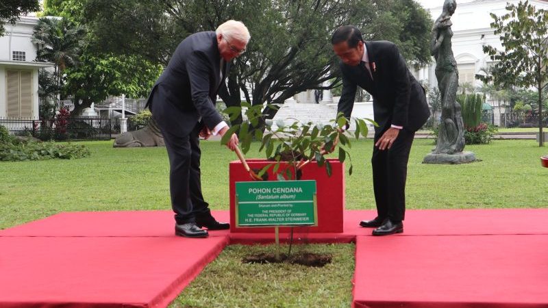 Presiden Jokowi dan Presiden Jerman Frank-Walter Steinmeier Tanam Pohon Cendana di Istana Bogor