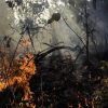 Akhir Pekan, 10 Titik Panas Terpantau di Riau