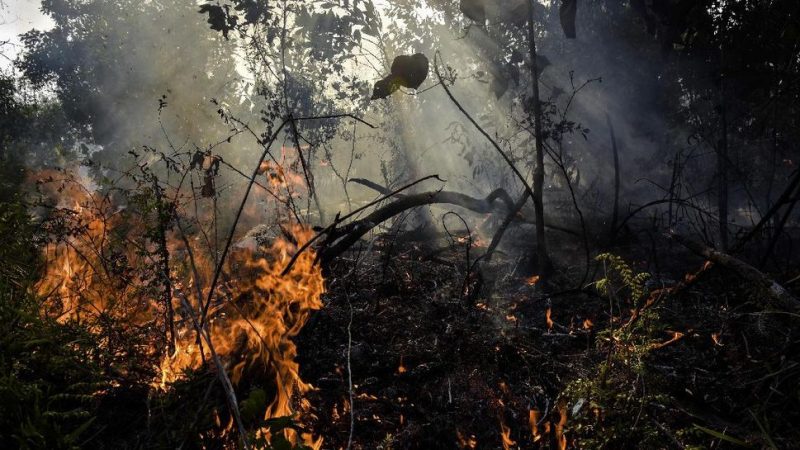 Akhir Pekan, 10 Titik Panas Terpantau di Riau