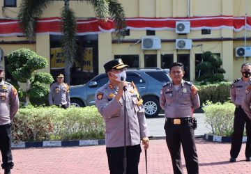 Polres Rohil bersama Jajaran Melangsungkan Pelepasan Hewan Qurban 44 Ekor Sapi 4 Ekor Kambing
