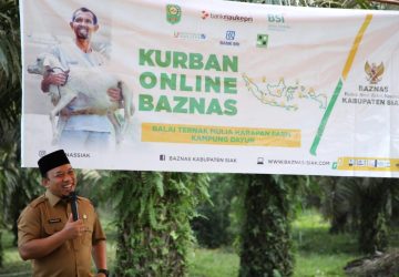 Baznas Pusat salurkan 100 Ekor Domba untuk Baznas Kabupaten Siak