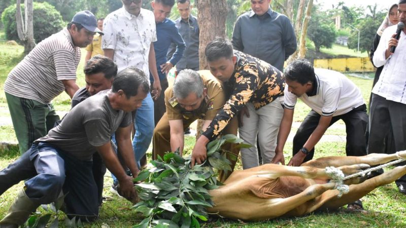 Pj Bupati Kampar Sembelih Hewan Qurban JMSI Kampar