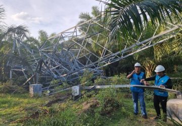 Bupati Rokan Hilir Apresiasi Gerak Cepat PLN Pulihkan Gangguan Tower SUTT 150 KV yang Roboh Akibat Tindak Kriminal