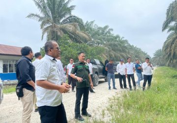 Lakukan Peninjauan, Tim Pemkab Kampar Temukan Perusahaan Yang Menutupi Tanda Segel Izin Perusahaan