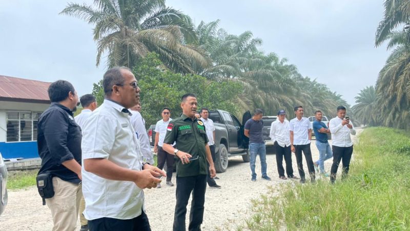 Lakukan Peninjauan, Tim Pemkab Kampar Temukan Perusahaan Yang Menutupi Tanda Segel Izin Perusahaan