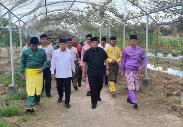 Didampingi Bupati Rohil, Wagubri Panen Hasil Tanaman Taman Edukasi Dinas Pertanian