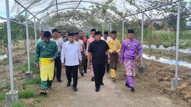 Didampingi Bupati Rohil, Wagubri Panen Hasil Tanaman Taman Edukasi Dinas Pertanian