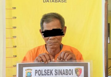 Kedapatan Bersihkan Lahan Dengan Cara Membakar, Petani di Tangkap Polsek Sinaboi
