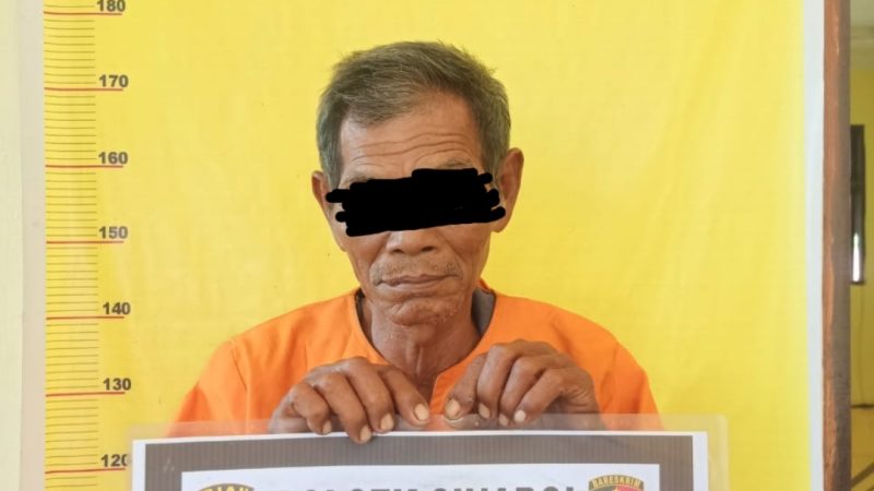 Kedapatan Bersihkan Lahan Dengan Cara Membakar, Petani di Tangkap Polsek Sinaboi