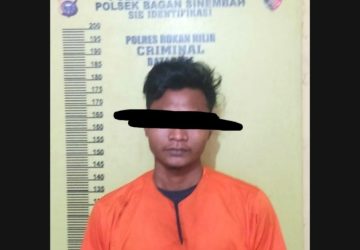 Satroni Rumah Saat Pemilik Terlelap Tidur, Gasak Motor dan Hp, Kuli di Tangkap Polsek Bagan Sinembah