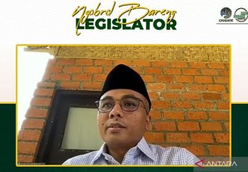 Anggota DPR: Ruang Digital Berpotensi Tingkatkan Kualitas Demokrasi