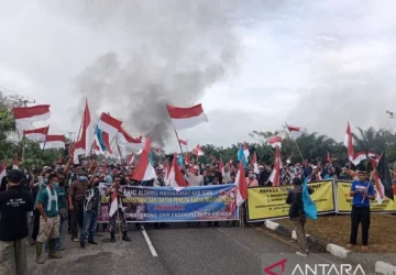 Bentrok Terjadi Saat Aksi Penolakan Eksekusi Lahan di Dayun