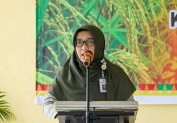 Dinas PTPH Riau Giatkan Pengembangan Padi Gogo Spesifik