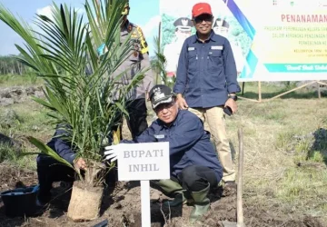 Dua Desa di Inhil Terima Dana Program Peremajaan Sawit