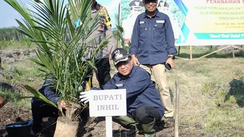 Dua Desa di Inhil Terima Dana Program Peremajaan Sawit
