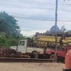 Harga TBS Sawit di Jambi Naik Rp120 per kilogram jadi Rp2.136
