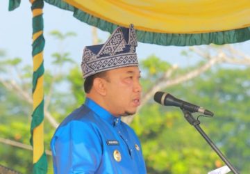 HUT ke-65 Riau, Sinergitas Pembangunan Kolaborasi Pemprov Dengan Pemkab Semakin Banyak dan Erat Daerah