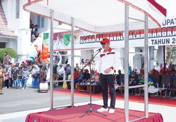 Meriahkan HUT RI ke-77, Bupati Rohil Lepas Peserta Karnaval