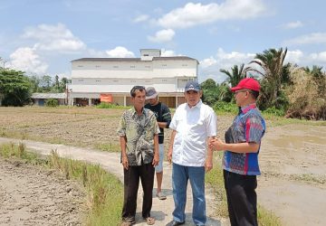 Percepatan Produksi Beras Kampar, Kamsol Tinjau Irigasi dan Coba Gunakan Traktor Mesin