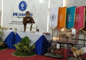 IPB Kembangkan Ayam Pedaging Lokal Sumbang Ketahanan Pangan
