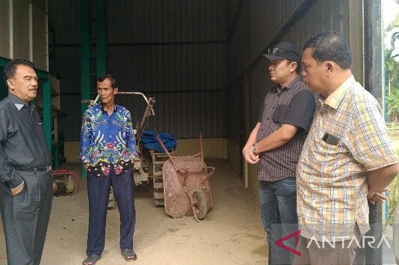 Mantan Bupati dan Mantan Ketua DPRD Kampar saat meninjau rice milling. (ANTARA/Netty M)