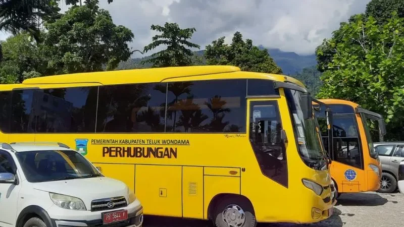 Dishub Wondama akan gandeng Perum DAMRI sediakan angkutan